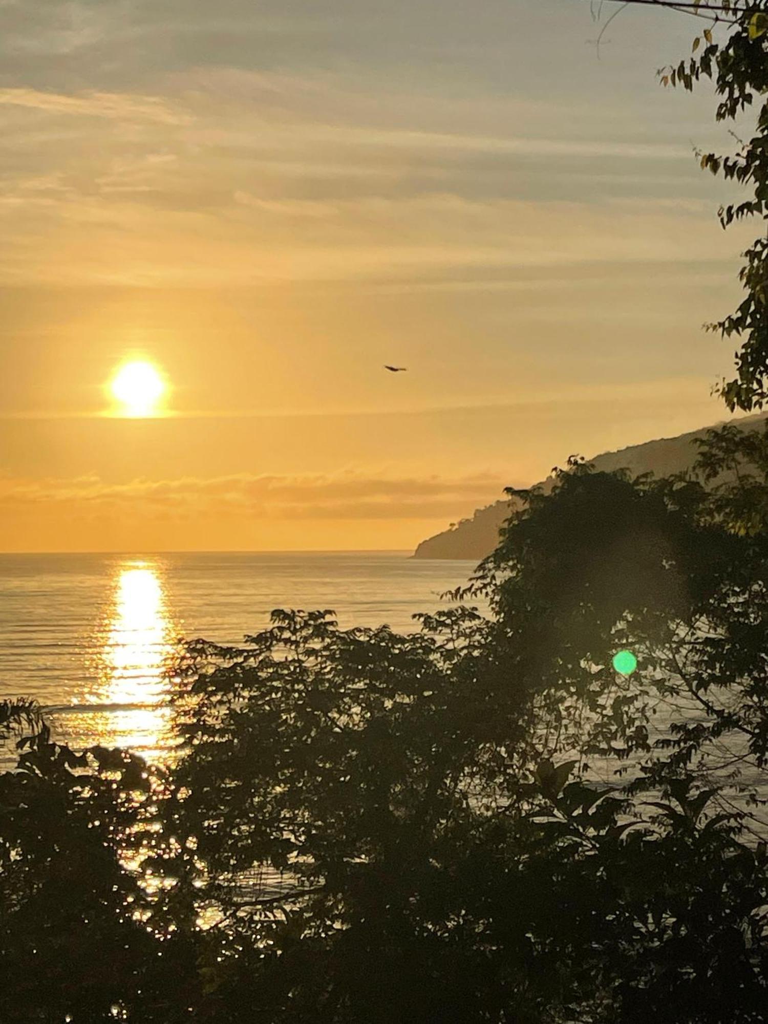 Ubatuba Wild Surf Hostel Ngoại thất bức ảnh